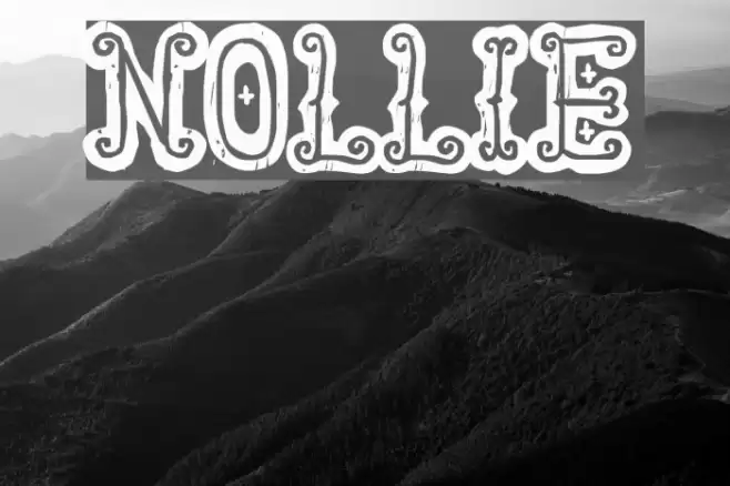 Nollie Font examples