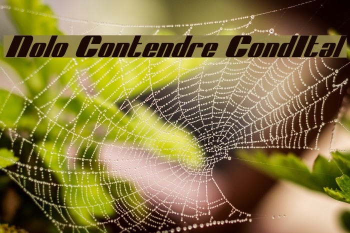 Nolo Contendre CondItal Font examples