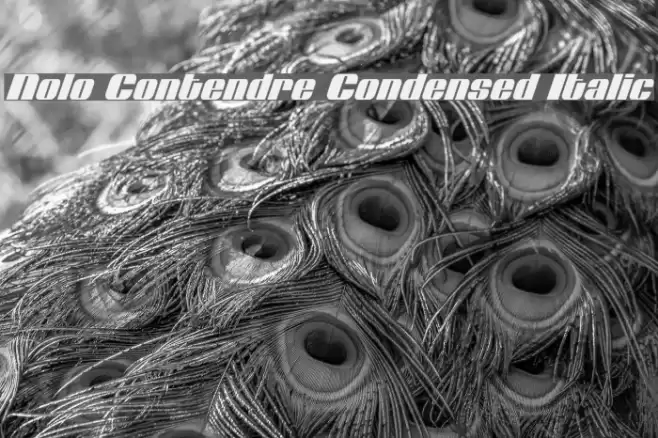 Nolo Contendre Condensed Italic Font examples