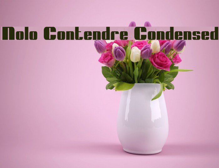 Nolo Contendre Condensed フォント examples