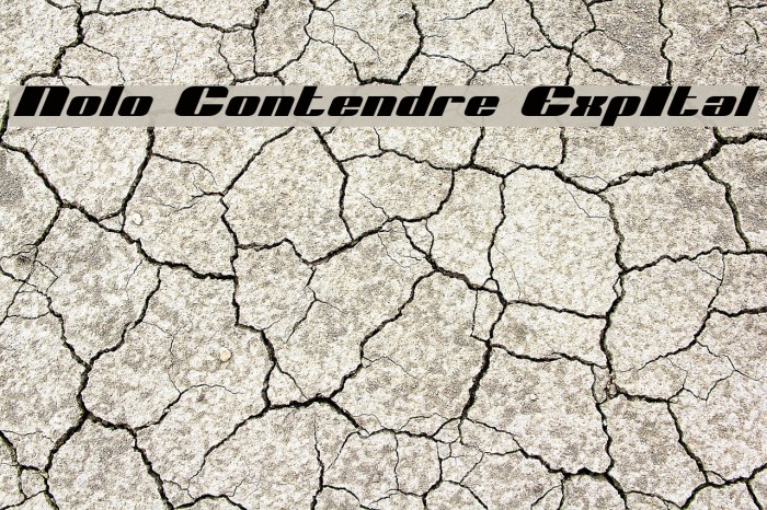 Nolo Contendre ExpItal Font examples