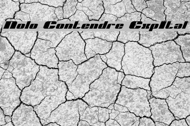Nolo Contendre ExpItal フォント examples