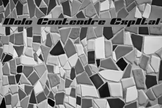 Nolo Contendre ExpItal フォント examples