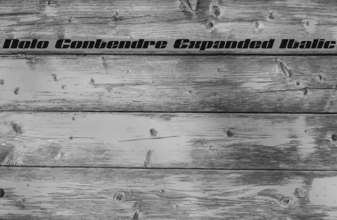 Nolo Contendre Expanded Italic Font examples
