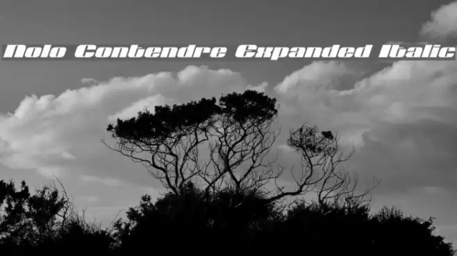Nolo Contendre Expanded Italic Font examples