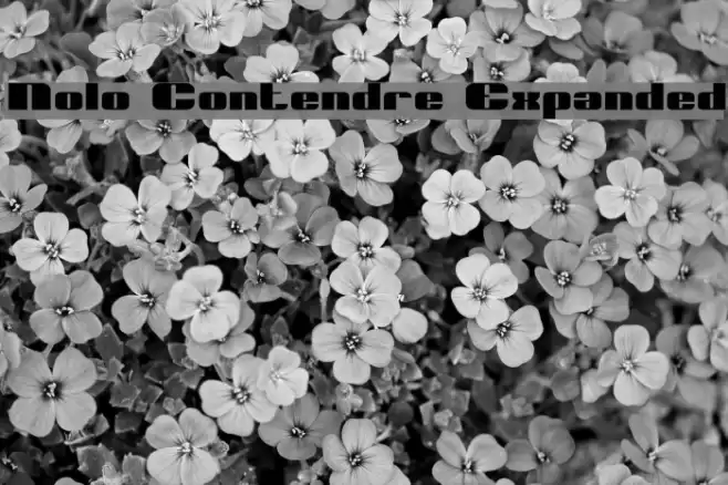 Nolo Contendre Expanded Polices examples