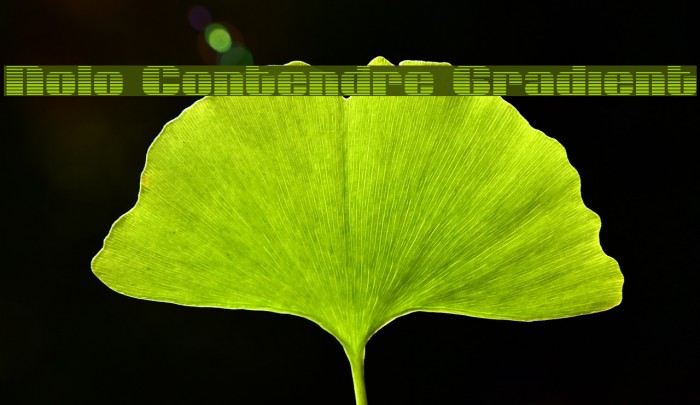 Nolo Contendre Gradient Font examples