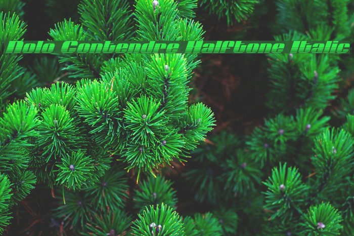 Nolo Contendre Halftone Italic Font examples