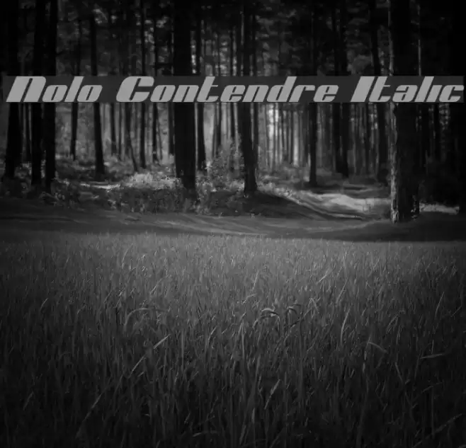 Nolo Contendre Italic Font examples