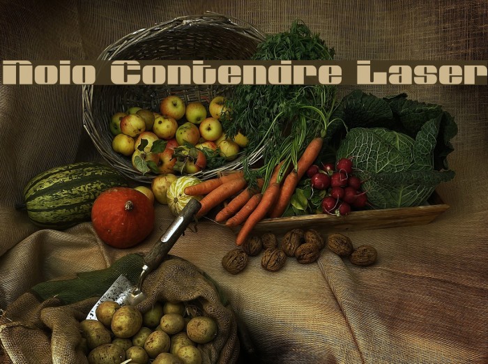 Nolo Contendre Laser Font examples