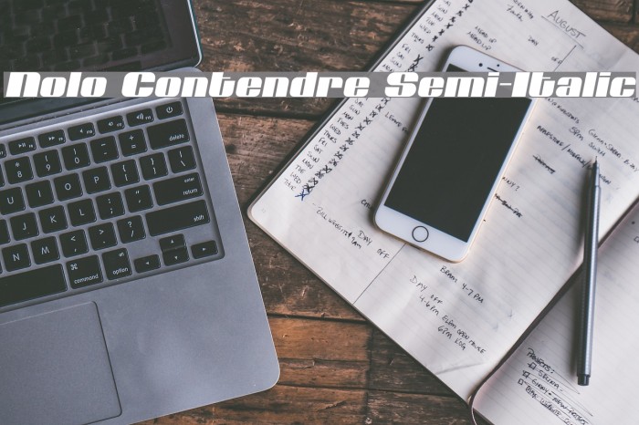 Nolo Contendre Semi-Italic Font examples