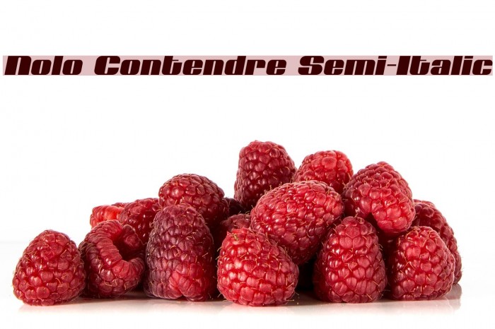 Nolo Contendre Semi-Italic Font examples
