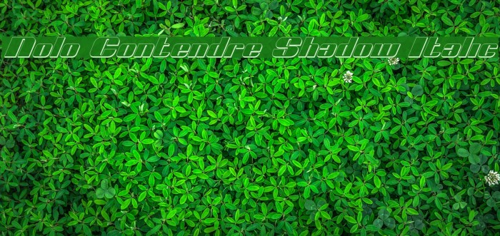 Nolo Contendre Shadow Italic Font examples