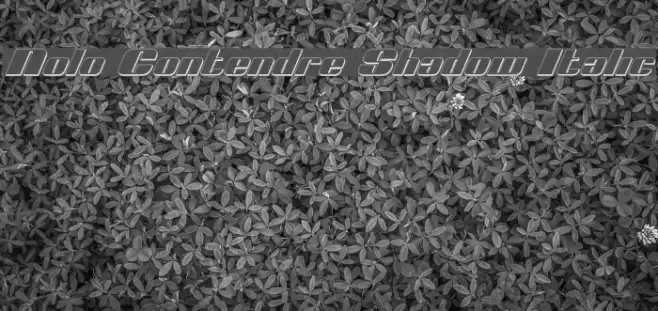 Nolo Contendre Shadow Italic Schriftart examples