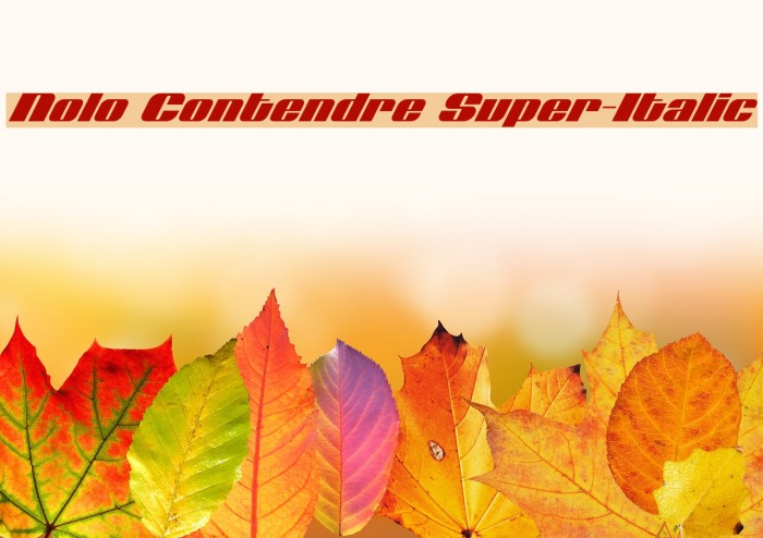 Nolo Contendre Super-Italic Example 1