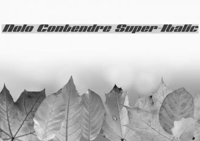 Nolo Contendre Super-Italic Font examples