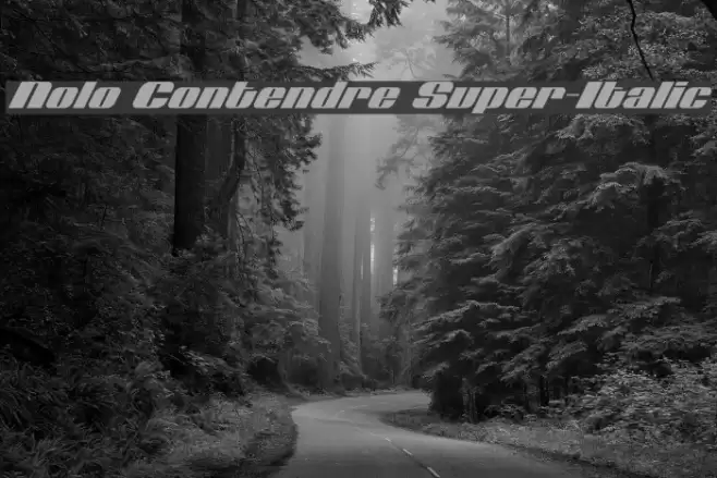 Nolo Contendre Super-Italic Font examples