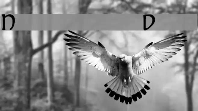 Nomarch Demo Font examples