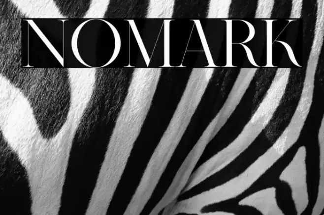 Nomark Font examples