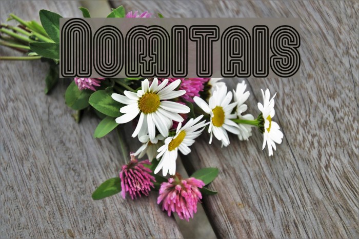 Nomitais Font examples