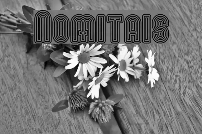 Nomitais Font examples