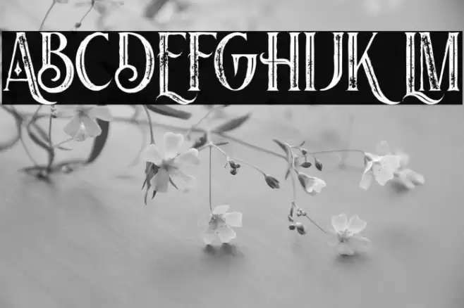 Nomos Inline Grunge Font examples