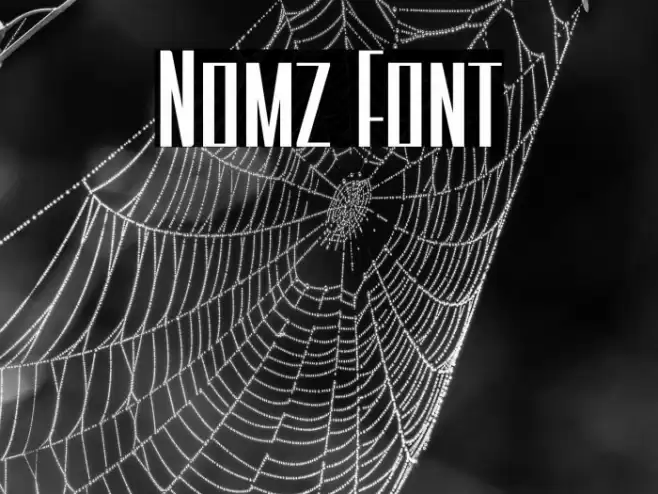 Nomz Font examples