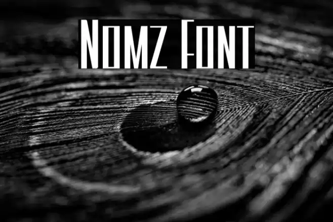 Nomz Font examples