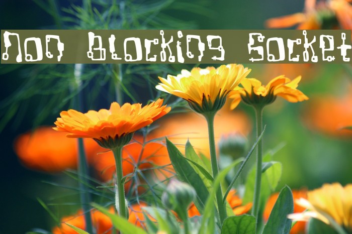 Non Blocking Socket Font examples
