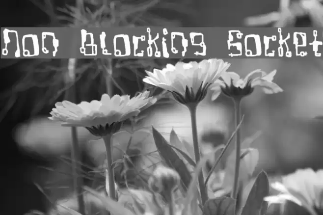 Non Blocking Socket フォント examples