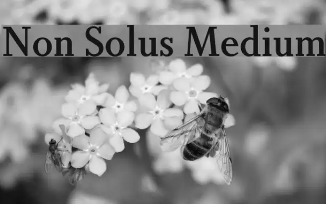 Non Solus Medium Example 1