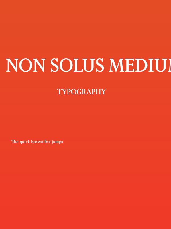 Non Solus Medium Poster