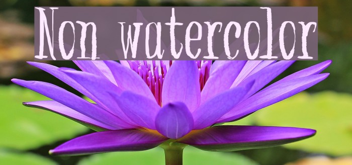 Non watercolor Font examples