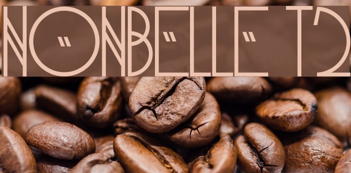 NonBelle T2 Example 1