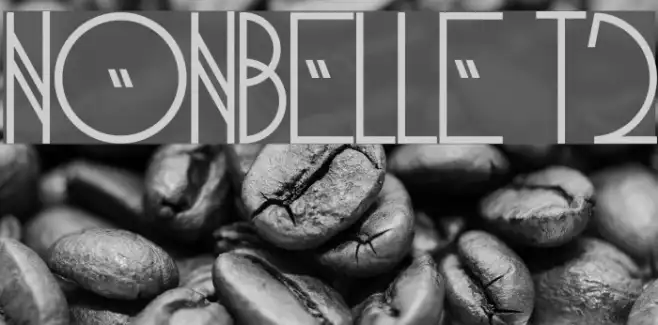 NonBelle T2 Example 1