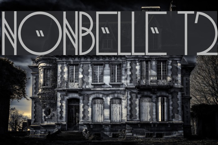 NonBelle T2 Example 2