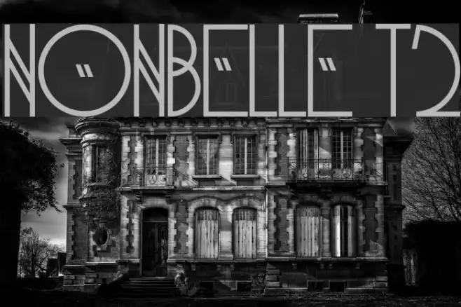 NonBelle T2 Example 2