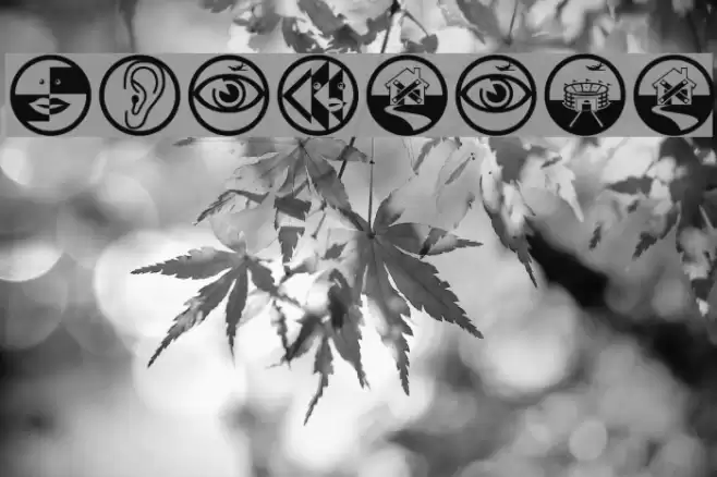 NonSense Font examples