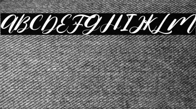 Nona Diana Font examples