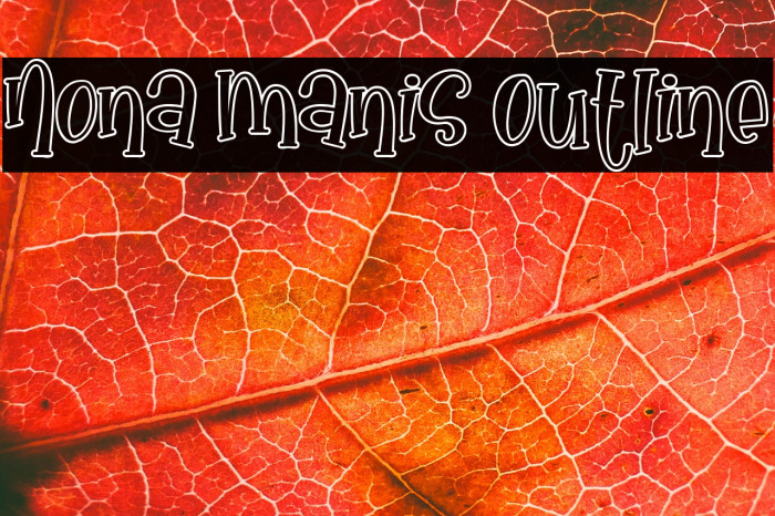 Nona Manis Outline Example 3