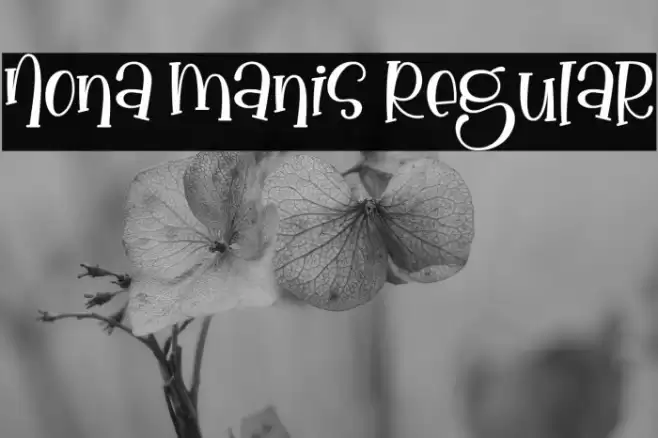 Nona Manis Regular Font examples
