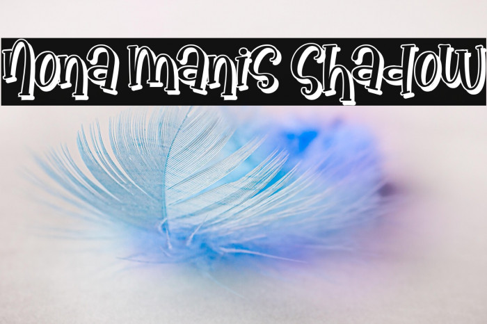 Nona Manis Shadow Example 1