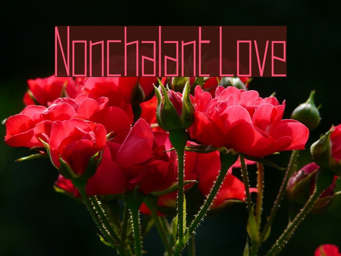 Nonchalant Love Font examples