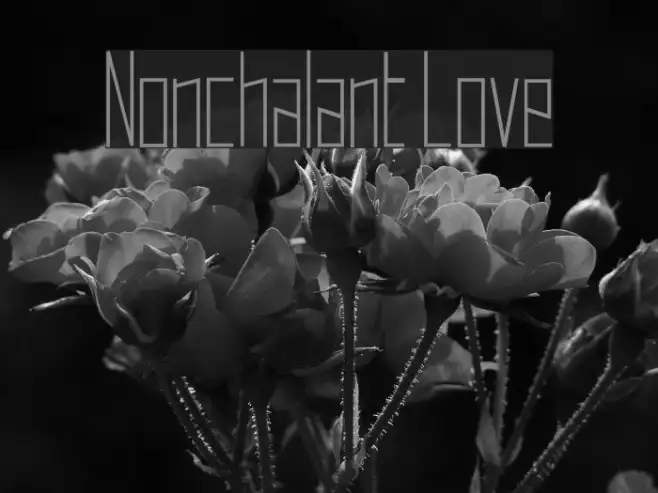 Nonchalant Love Example 2
