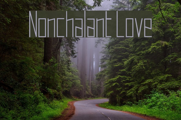 Nonchalant Love Font examples