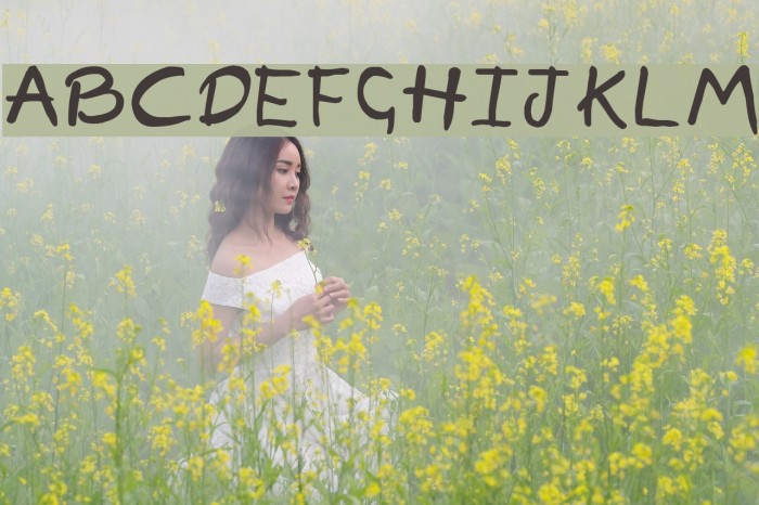 Nonciclopedia by Sabaku Font examples
