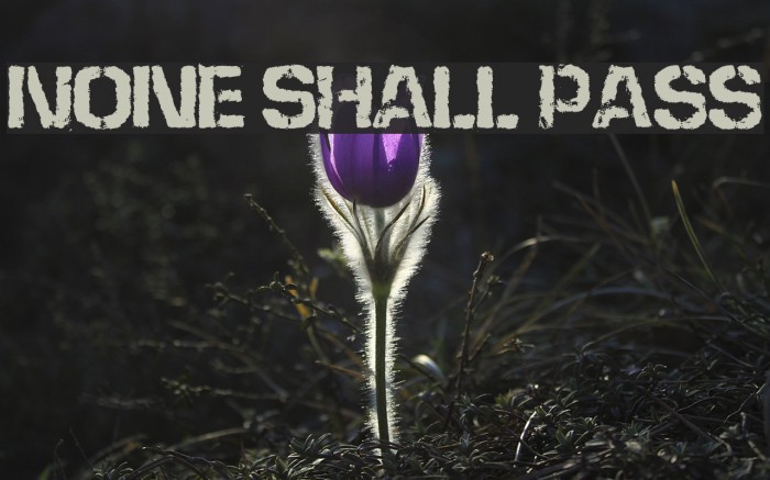 None Shall Pass Font examples