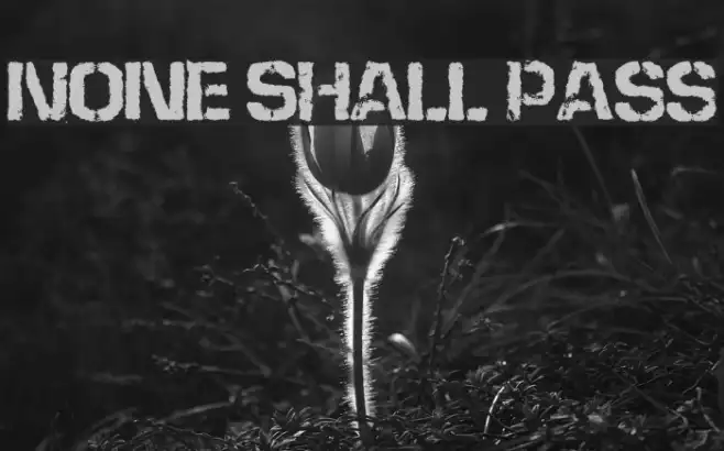 None Shall Pass Example 1