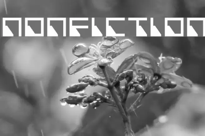 Nonfiction Font examples