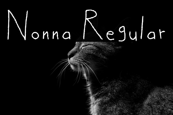 Nonna Regular Example 2